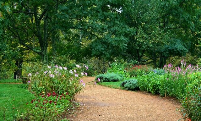 Jak często wymieniać żwirek dla kota?