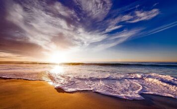 Co daje picie herbat ziołowych?