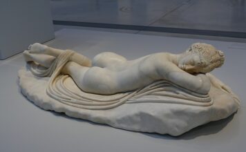 Jak długo żyją fretki?