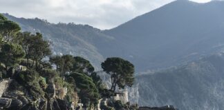 Ile kosztuje jedno jajko od kury?