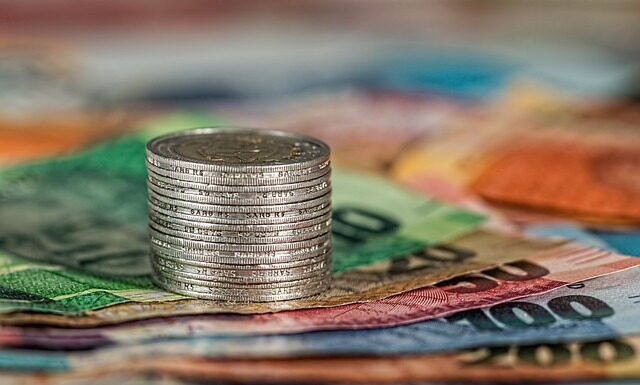 Jaki jest koszt utrzymania fretki?