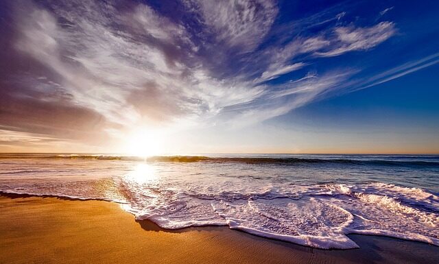 Na co pomaga picie hibiskusa?